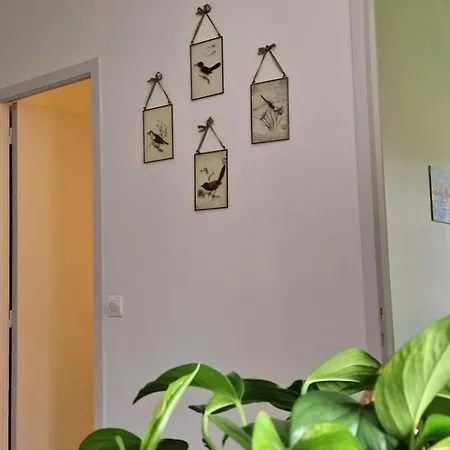 Bel Appartement, 2 Chambres, Parking, Proximite Et Centre *