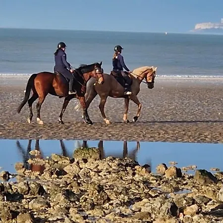 Bel Appartement, 2 Chambres, Parking, Proximite Et Centre