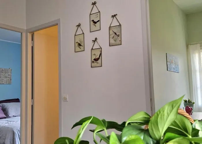 Bel Appartement, 2 Chambres, Parking, Proximite Et Centre *