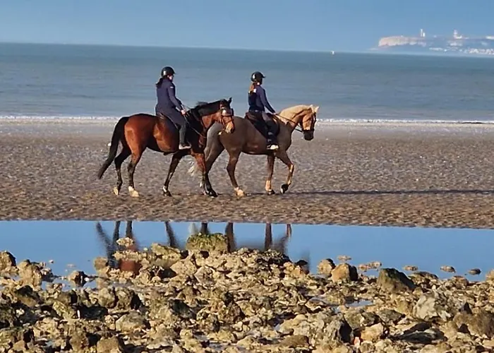 Bel Appartement, 2 Chambres, Parking, Proximite Et Centre